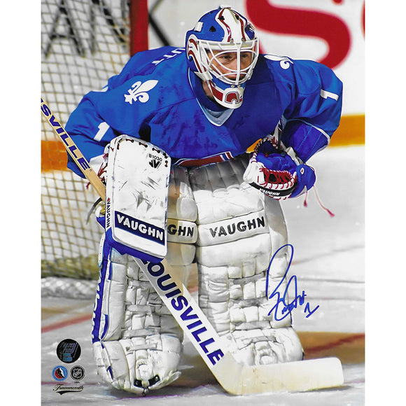 Ron Tugnutt Autographed Quebec Nordiques 8X10 Photo
