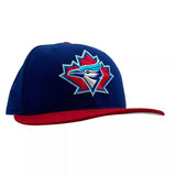 Shawn Green Autographed 1990s Toronto Blue Jays New Era Baseball Cap