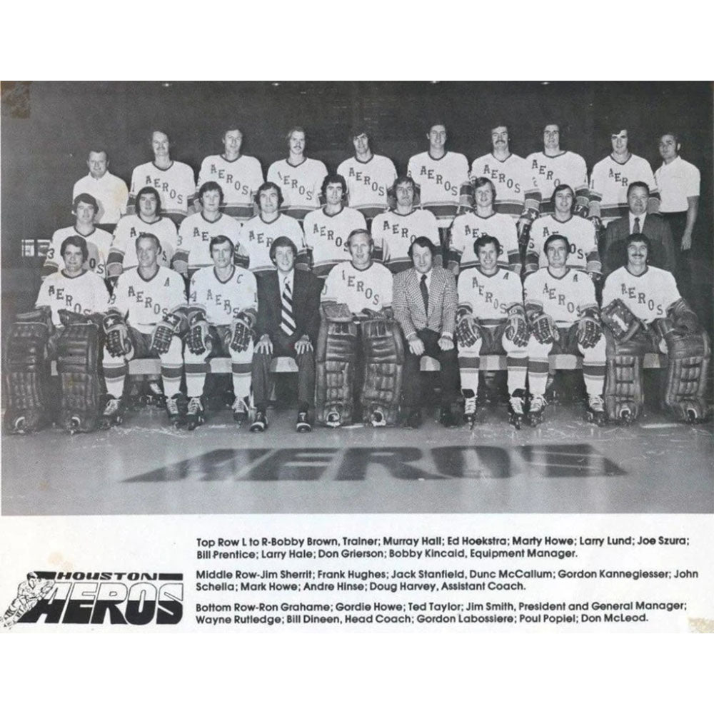 Marty Howe's 1974 Houston Aeros WHA Champions Avco World Trophy – Frozen  Pond