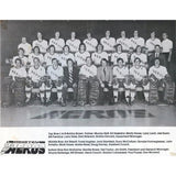 Marty Howe's 1974 Houston Aeros WHA Champions Avco World Trophy