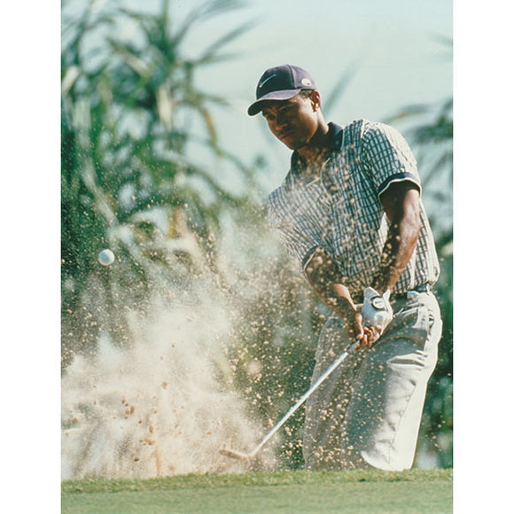 Tiger Woods Unsigned 8X10 Photo